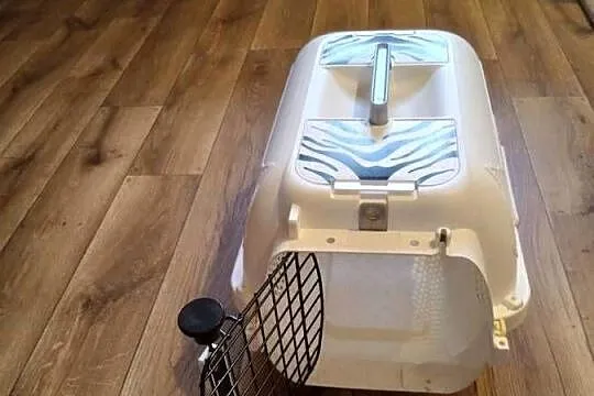 Transporter dla małego zwierzęcia, Mazowieckie, Warszawa