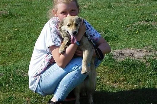 Lara, roczna mała sunia,  pomorskie Gdańsk