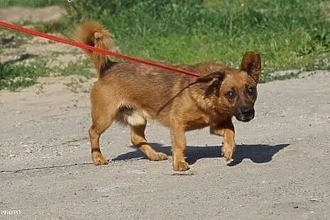 Niewidomy Frodo,  łódzkie Łódź