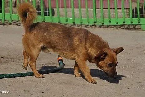 Niewidomy Frodo,  łódzkie Łódź