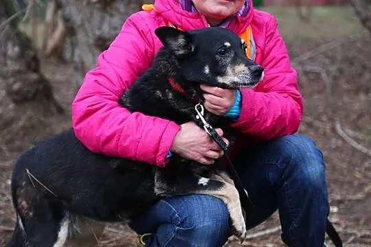 Łagodna i przyjazna Śmieszka chce wprowadzić do tw