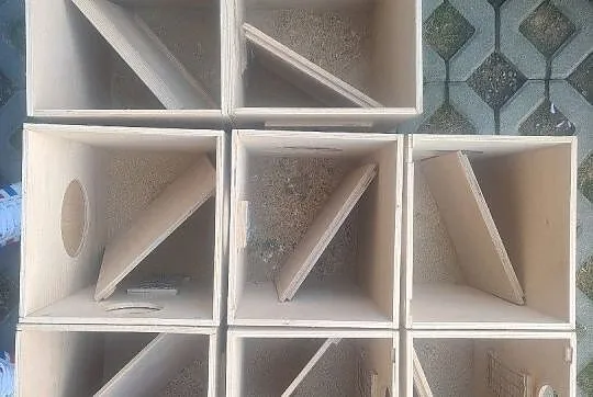 Zestaw budek lęgowych, Podkarpackie, Dębica