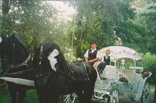 dorożka konna 