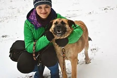 Boska sunia PEGI czeka na Ciebie w Sejnach,  warmi