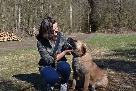 Boska sunia PEGI czeka na Ciebie w Sejnach,  warmi