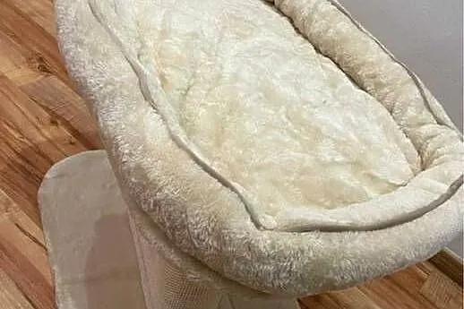Nowy drapak dla kota, Małopolskie, Żabno