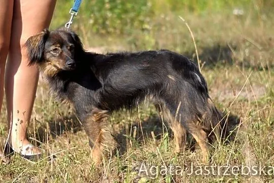 Młody, sympatyczny Klos :)