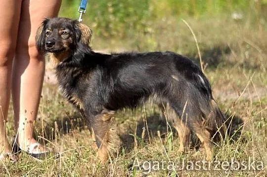 Młody, sympatyczny Klos :)