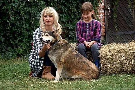 Victoria śliczna łagodna sunia DO ADOPCJI,  Kundel