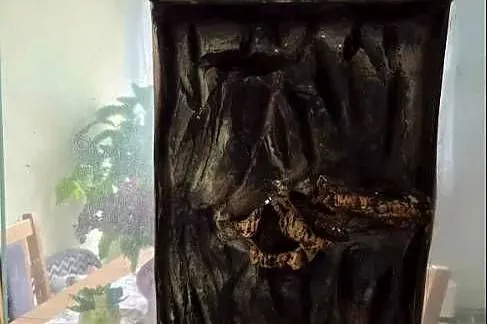 Terrarium dla gekona 40x40x60