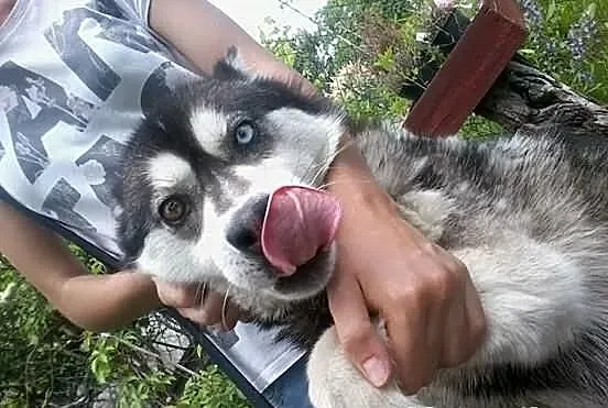 Zaginęła