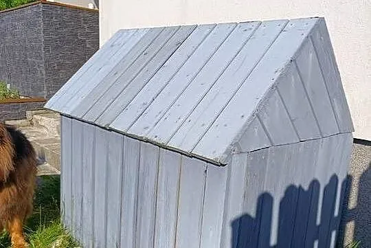 Ocieplana buda dla dużego psa (np. owczarka niemieckiego), Małopolskie, Bębło