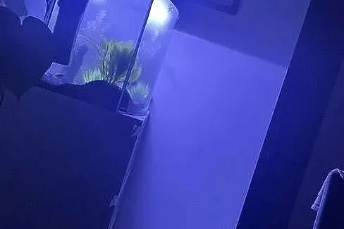 Lampa LED do akwarium 48 cm wodoodporna biało-niebieska, Mazowieckie, Warszawa