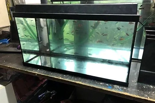 Akwarium Juwel 80 x 35 x40 cm ,pokrywa, led