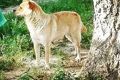 Miłka miała trudne życie daj jej wspaniały domek j
