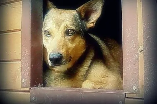 Rita - prześliczna dziewczyna,  mazowieckie Warsza