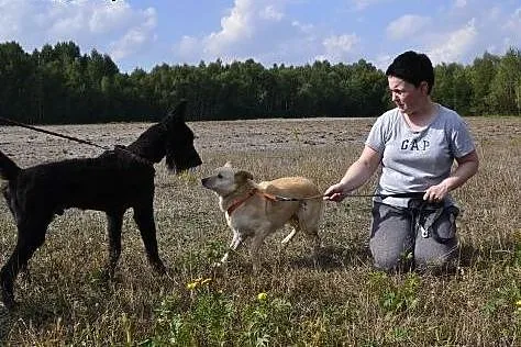 Piękna, delikatna EBI pragnie poznać co to dom!!, 