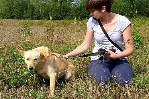 Piękna, delikatna EBI pragnie poznać co to dom!!, 