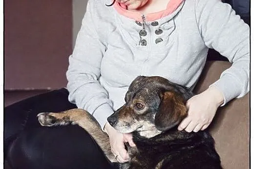MANIEK najcudowniejszy pies Świata!,  łódzkie Łódź
