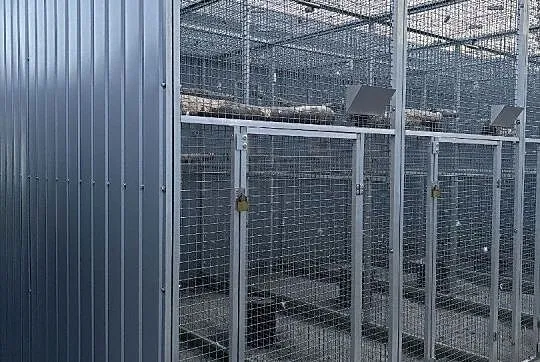 Woliera zewnętrzna 9x3 wys.2,80m, Małopolskie, Kłaj