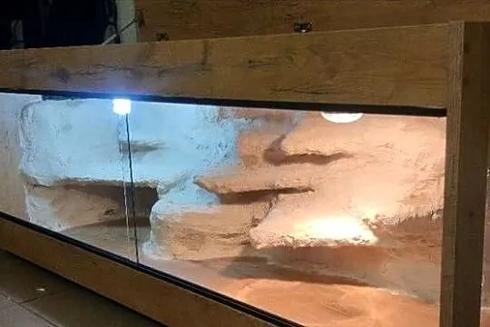 Terrarium pustynne dla gekona lamparciego agamy brodatej