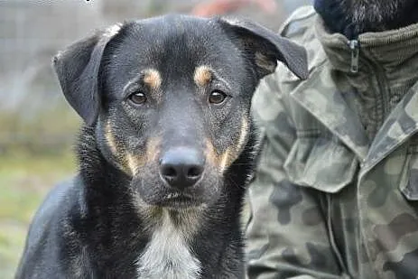 Mam rok.. Nie chcę spędzić zimy w przytulisku.. Po
