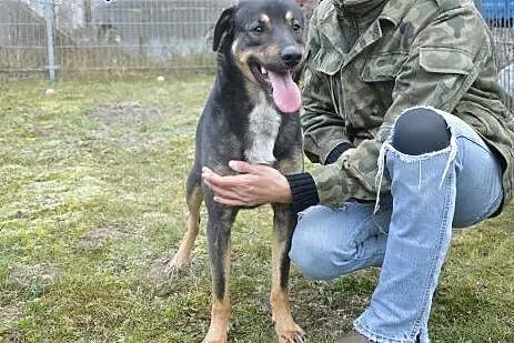 Mam rok.. Nie chcę spędzić zimy w przytulisku.. Po