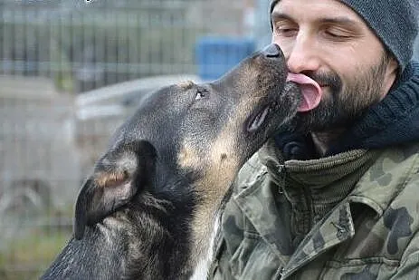 Mam rok.. Nie chcę spędzić zimy w przytulisku.. Po