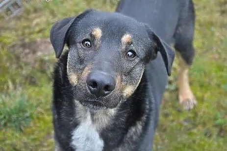 Mam rok.. Nie chcę spędzić zimy w przytulisku.. Po