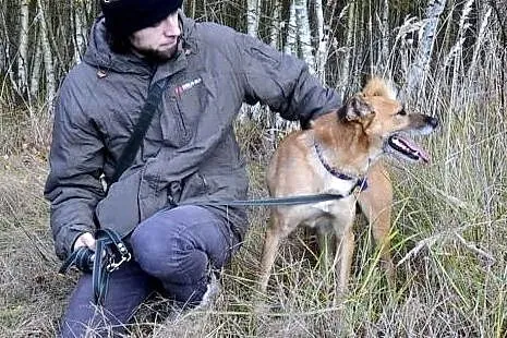 Wesoły i przyjazny kundelek Reksio - czeka na dobr