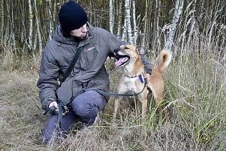 Wesoły i przyjazny kundelek Reksio - czeka na dobr