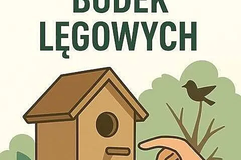Profesjonalne czyszczenie i montaż budek lęgowych – na terenie całej Polski
