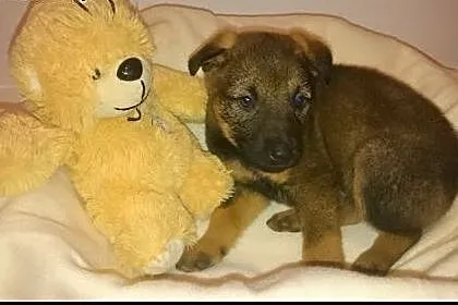KOMU?! KOMU?! MAŁA Bearka CHCE DO DOMU !!!,  mazow