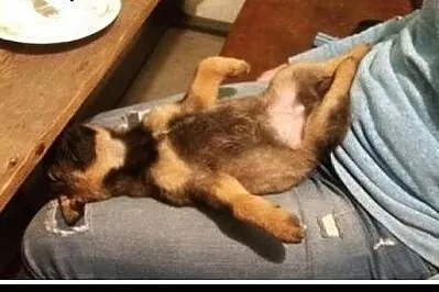 KOMU?! KOMU?! MAŁA Bearka CHCE DO DOMU !!!,  mazow