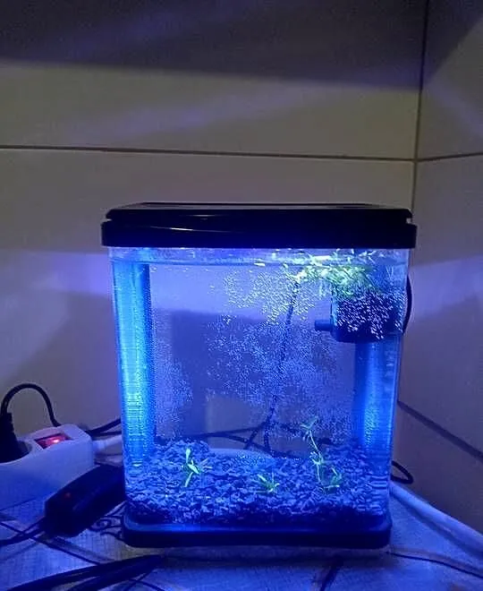 Sprzedam nano akwarium 3L z pokrywą oświetleniem LED mała pompka cicha., Dolnośląskie, Lubin