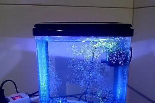 Sprzedam nano akwarium 3L z pokrywą oświetleniem LED mała pompka cicha., Dolnośląskie, Lubin