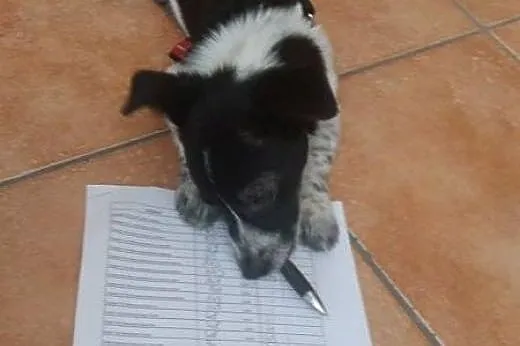 Tycia Tutka szuka fajnego domku. ,  świętokrzyskie
