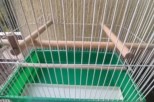 Ładna klatka dla papugi lub kanarka polecam serdecznie., Śląskie, Katowice