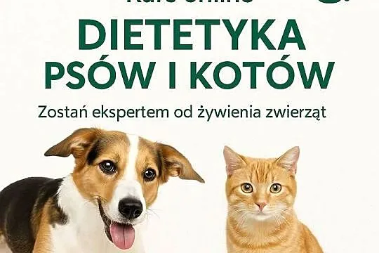Kurs online „Dietetyka psów i kotów” – dostęp 24/7, Kujawsko-pomorskie, Bydgoszcz