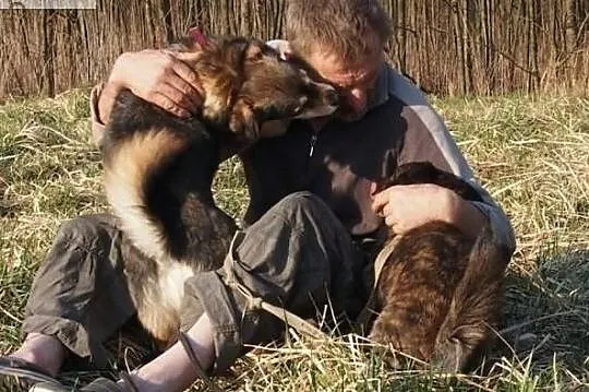 Kochasz pieski zadzwoń 2 cudne aniołki czekają na domek, Podkarpackie, Rzeszów