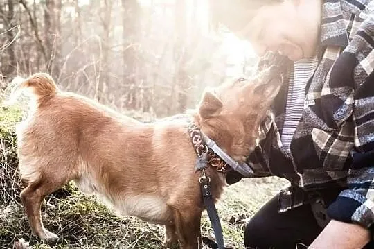 Rudzik stracił wszystko. Dziś szuka swojego człowi