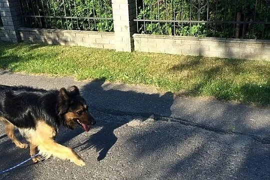 Jestem grzeczny i kochany, nie pozwól mi dalej żyć