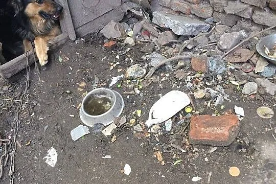 Jestem grzeczny i kochany, nie pozwól mi dalej żyć