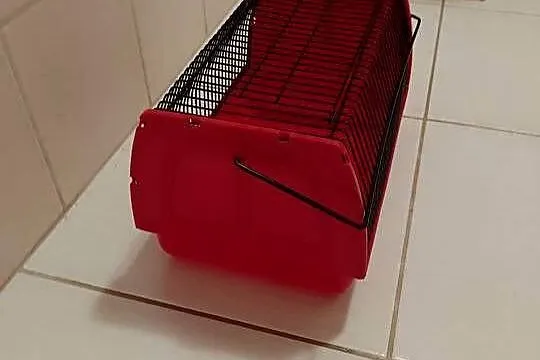 Transporter - mała klatka dla gryzoni, ptaków - stan jak nowy, Śląskie, Żory