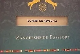 Lornet de Revel HZ Zangersheide 2020 (Late Night/ 