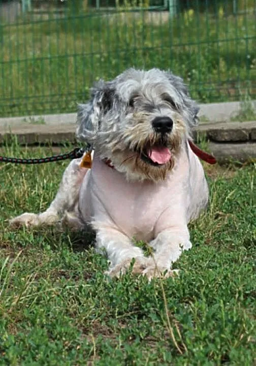 Ziggy.Nie obchodzę Cię..., kujawsko-pomorskie Byd