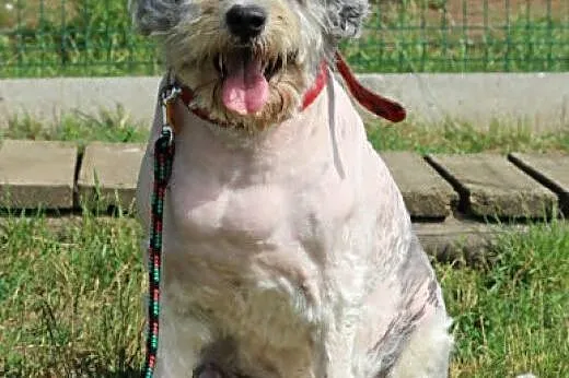 Ziggy.Nie obchodzę Cię...,  kujawsko-pomorskie Byd