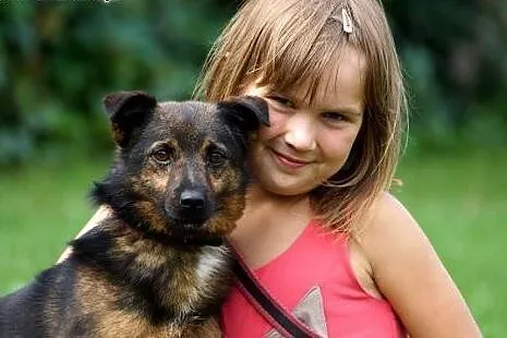 ALEKSANDER - szuka kochającego domu ,  Kundelki ca
