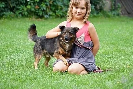ALEKSANDER - szuka kochającego domu ,  Kundelki ca