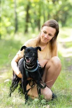 Devi i Devo - łagodne, poczciwe psiaki szukają wspólnego domu!  DEVI & DEVO, czyli nasze kochane chł, , Warszawa